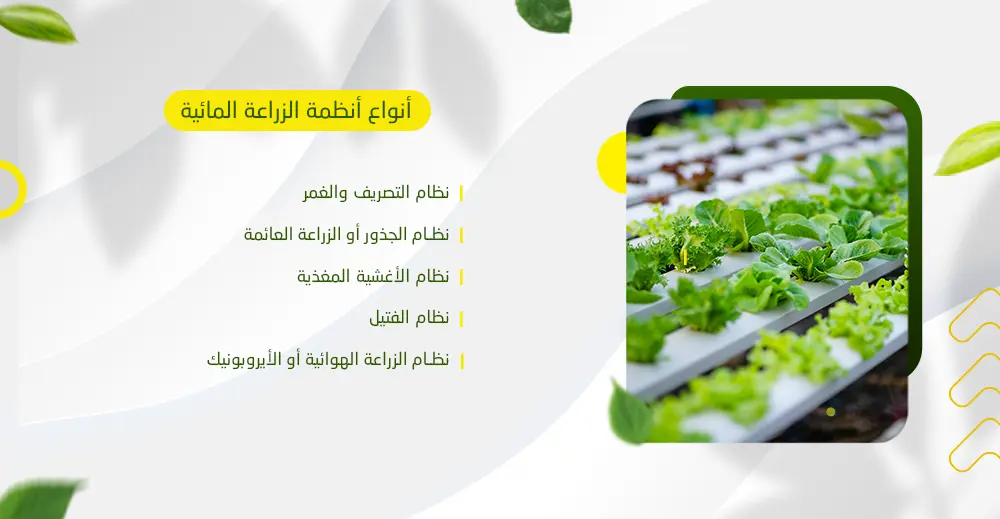 أنظمة الزراعة المائية