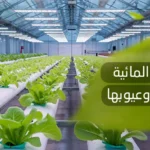 الزراعة المائية مميزاتها وعيوبها