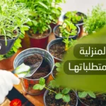 الزراعة المنزلية أهميتها ومتطلباتها