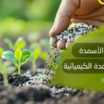 الفرق بين الأسمدة العضوية والأسمدة الكيميائية