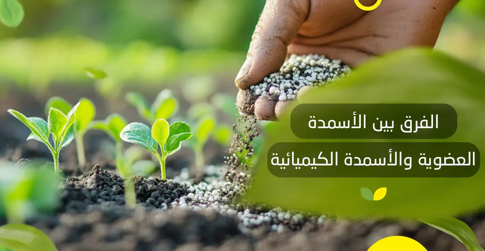 الفرق بين الأسمدة العضوية والأسمدة الكيميائية