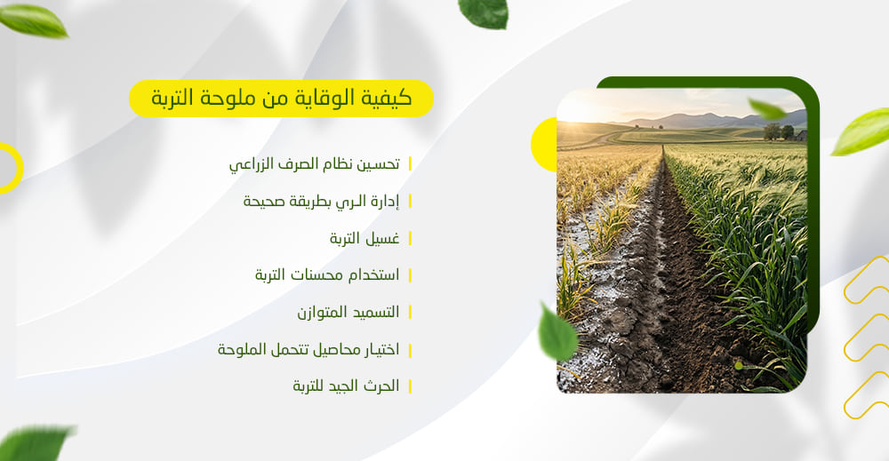 كيفية الوقاية من ملوحة التربة