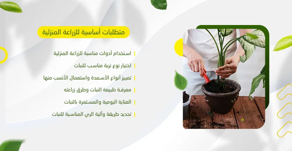 متطلبات أساسية للزراعة المنزلية