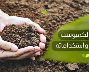 فوائد الكمبوست الزراعي واستخداماته
