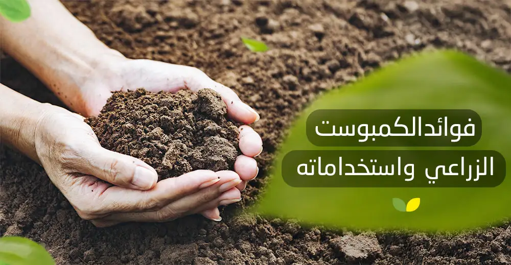 فوائد الكمبوست الزراعي واستخداماته