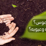 ما البيتموس ؟ وما مميزاته وعيوبه؟
