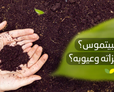 ما البيتموس ؟ وما مميزاته وعيوبه؟