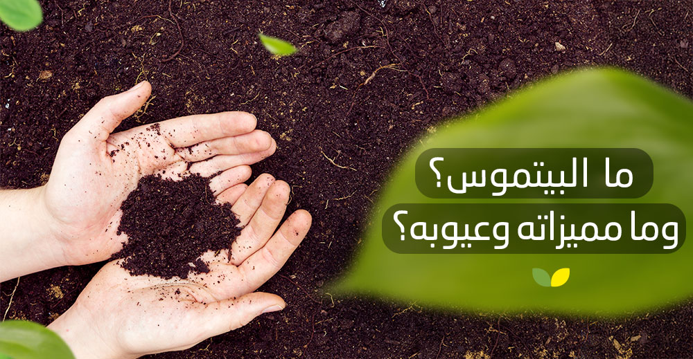 ما البيتموس ؟ وما مميزاته وعيوبه؟