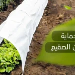 طرق حماية النباتات من الصقيع