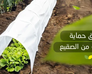 طرق حماية النباتات من الصقيع
