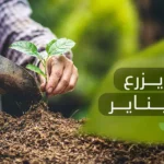 المحاصيل التي تزرع في يناير