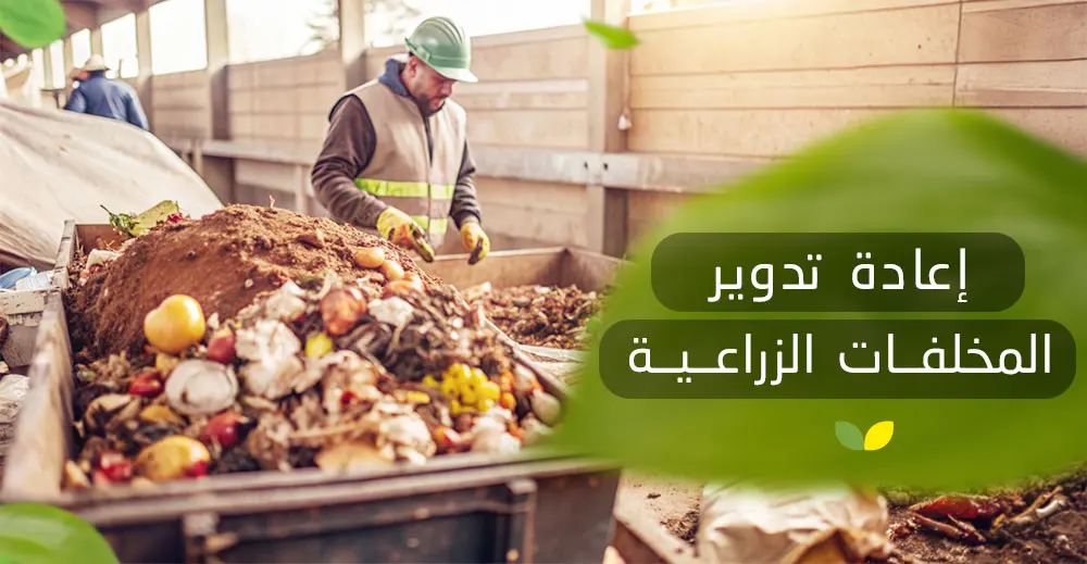 إعادة تدوير المخلفات الزراعية