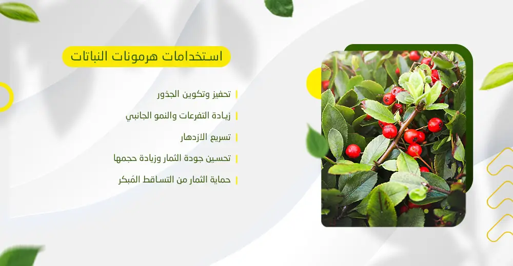 استخدامات الهرمونات النباتية