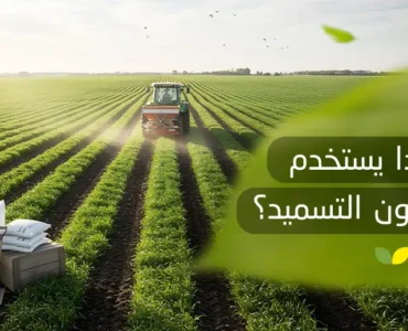طرق التسميد الزراعي