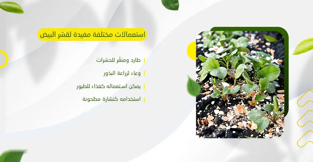 استخدامات متنوعة لقشر البيض