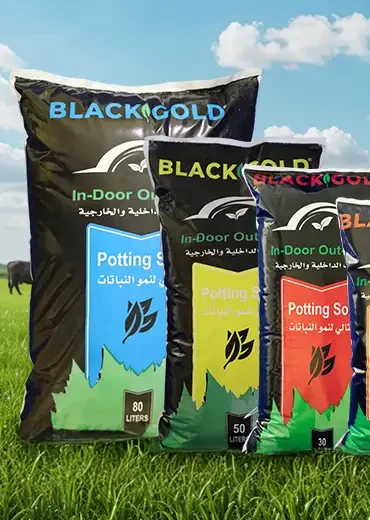 black Gold Soil