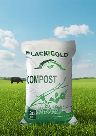Compost Black Gold