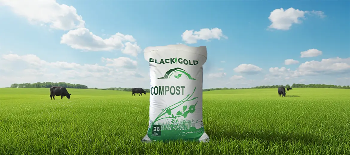 Compost Black Gold