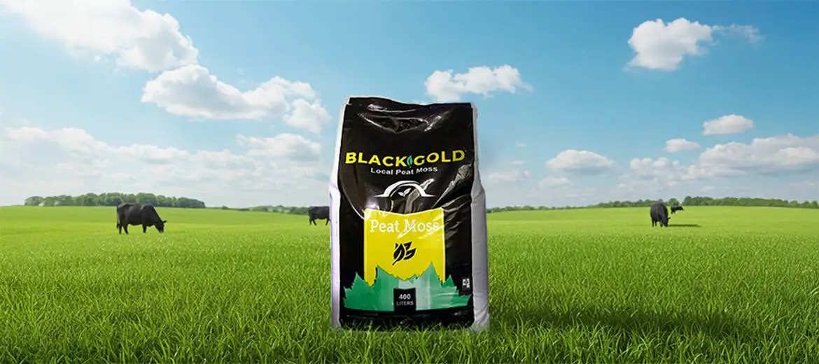 Local Peat Moss Black Gold