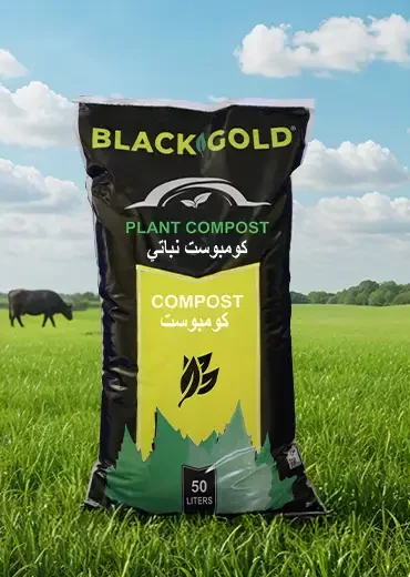 plant Composit
