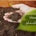 أفضل سماد لزيادة الإنتاج