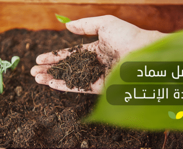 أفضل سماد لزيادة الإنتاج