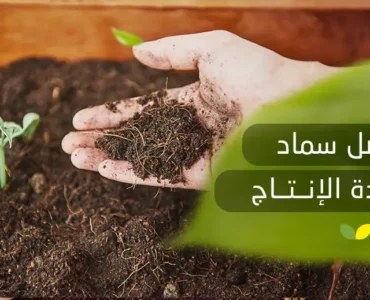 أفضل سماد لزيادة الإنتاج