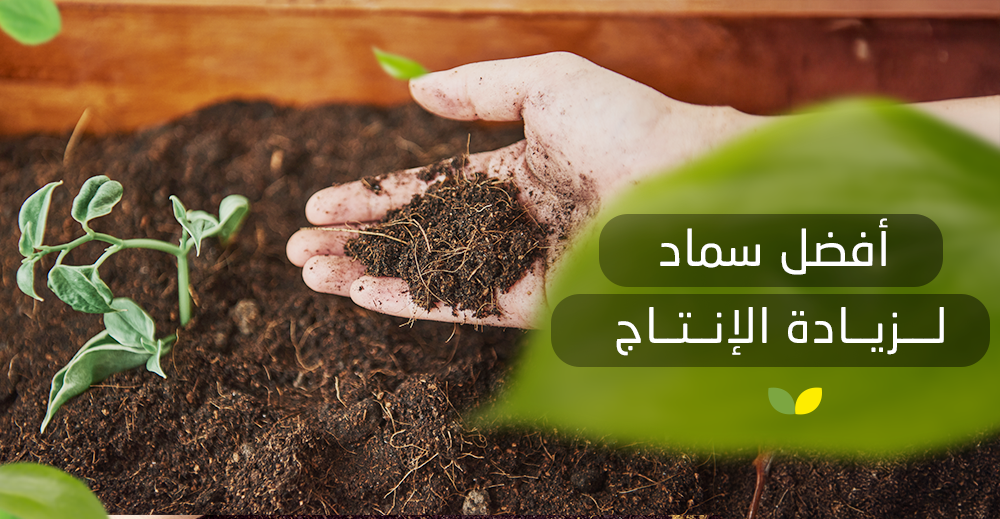 أفضل سماد لزيادة الإنتاج