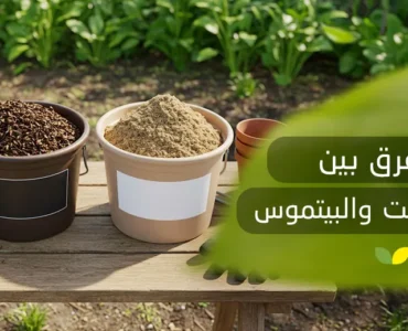 ما الفرق بين الكمبوست والبيتموس