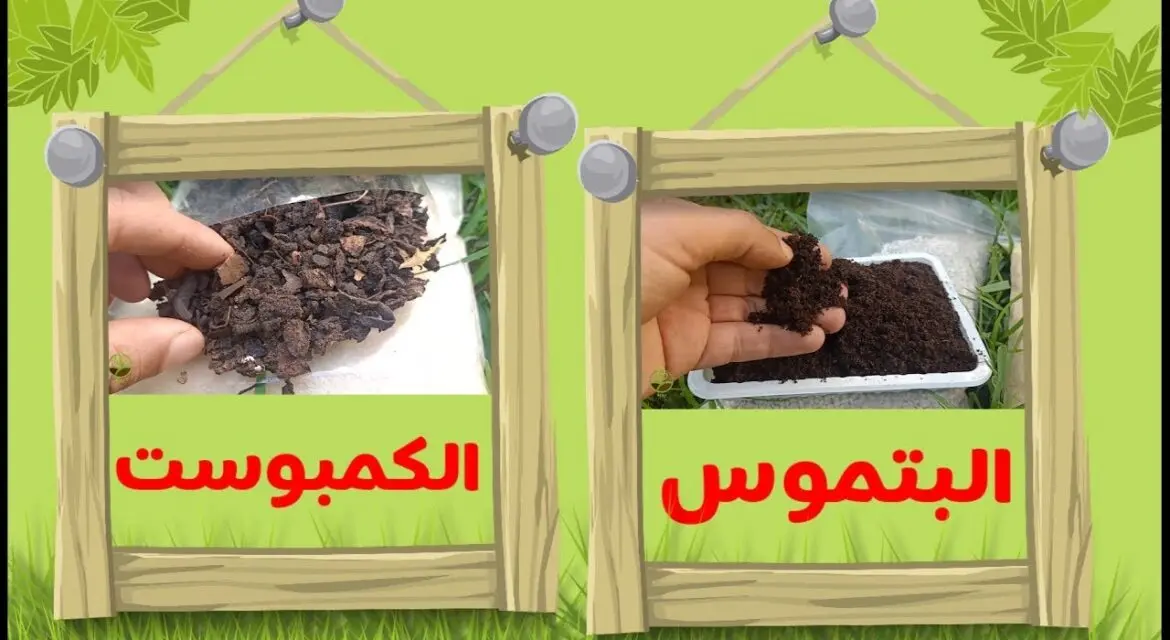 الفرق بين الكمبوست والبيتموس