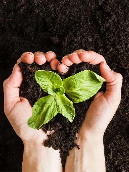 best organic fertilizer