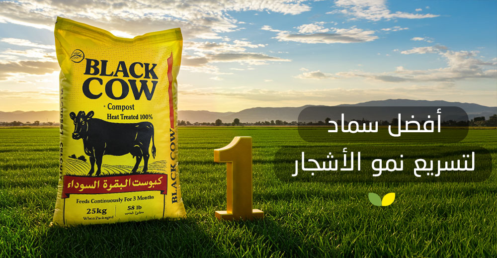 أفضل سماد لتسريع نمو الأشجار وكيفية إستخدامه - BlackCow