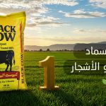 أفضل سماد لتسريع نمو الأشجار