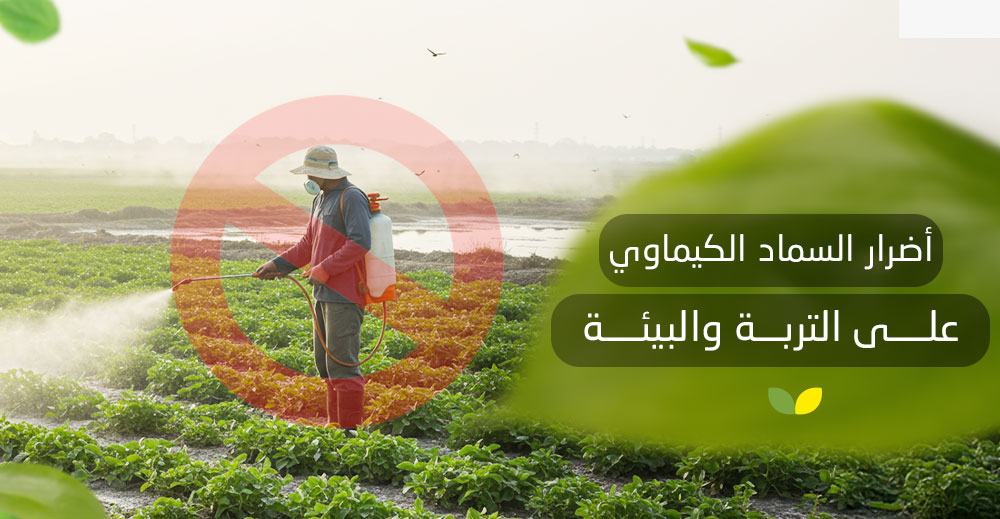 أضرار السماد الكيماوي على التربة والبيئة