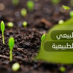 سماد طبيعي للنباتات الطبيعية