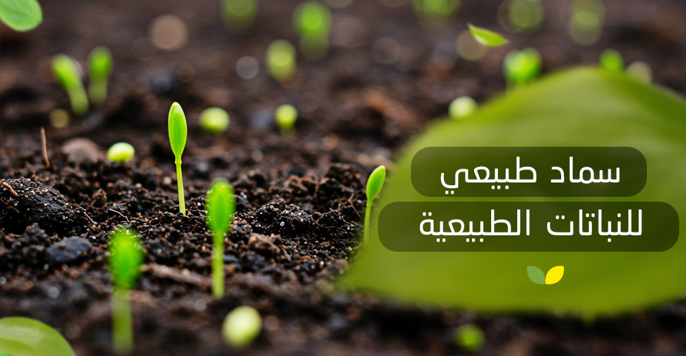 سماد طبيعي للنباتات الطبيعية
