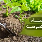 طريقة استخدام سماد الكمبوست