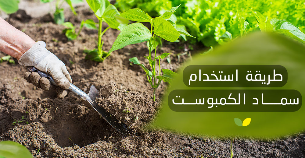 طريقة استخدام سماد الكمبوست