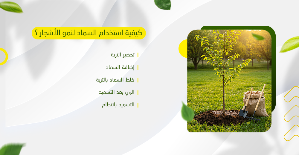 كيفية استخدام السماد لنمو الأشجار؟
