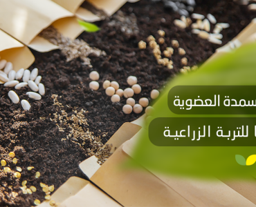 أنواع الأسمدة العضوية