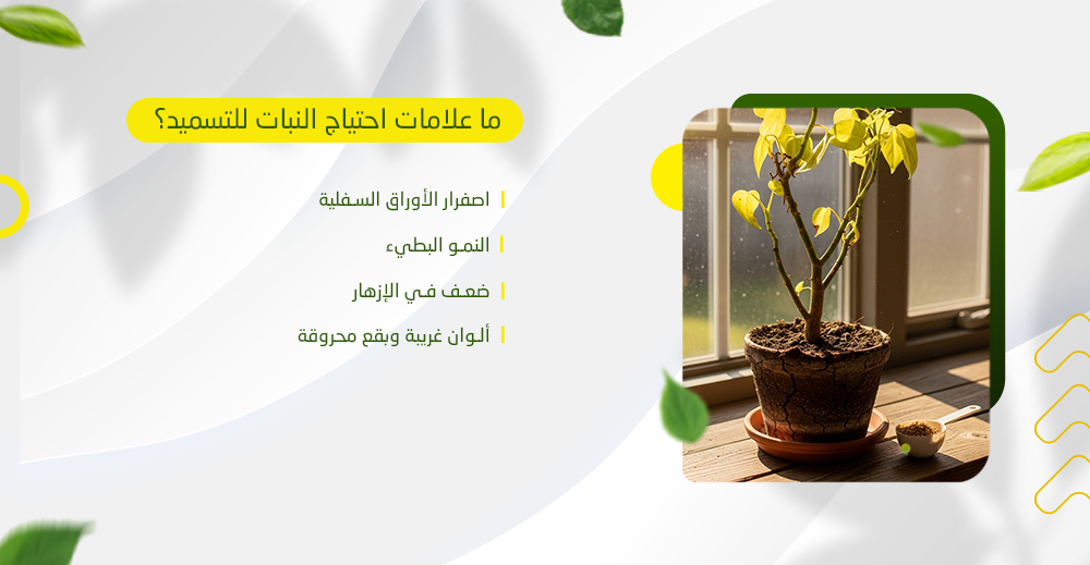 ما علامات احتياج النبات للتسميد؟