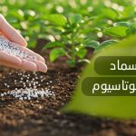 فوائد سماد سلفات البوتاسيوم ​