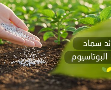 فوائد سماد سلفات البوتاسيوم ​