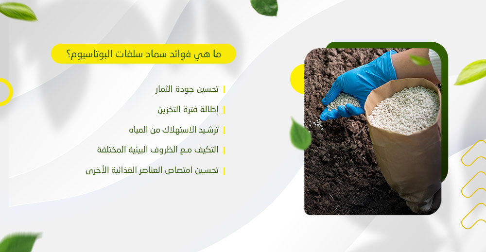 ما هي فوائد سماد سلفات البوتاسيوم؟