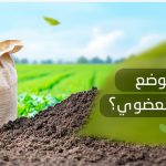 متى يوضع السماد العضوي