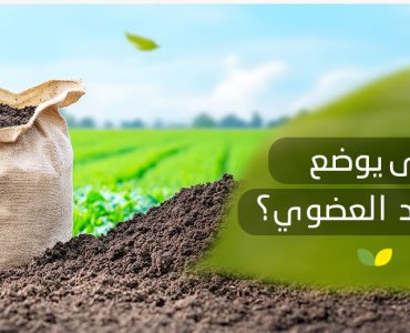 متى يوضع السماد العضوي