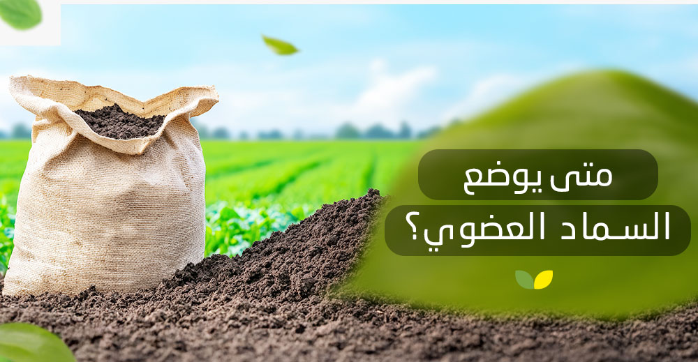متى يوضع السماد العضوي