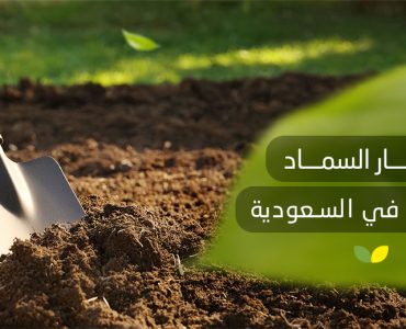 أسعار السماد العضوي في السعودية​