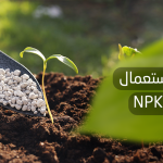 طريقة استعمال سماد NPK