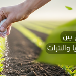 الفرق بين اليوريا والنترات